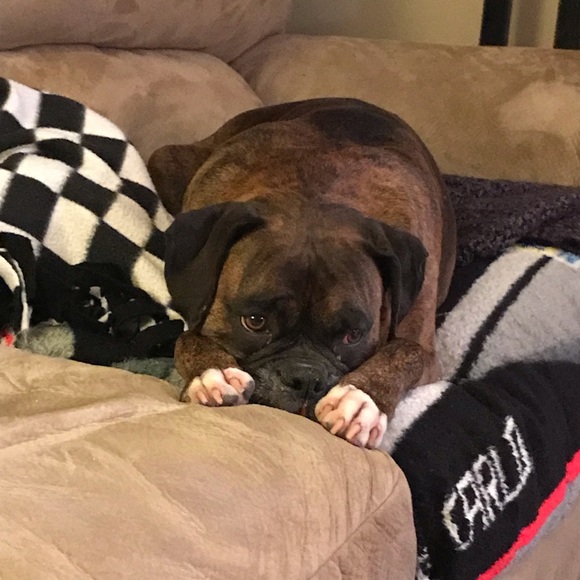 Meet your Posher, Kelly - Picture 4 of 7